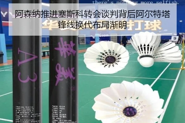 a-sen-na-tui-jin-sai-si-ke-zhuan-hui-tan-pan-bei-hou-a-er-te-ta-feng-xian-huan-dai-bu-ju-jian-ming-2-348.jpg